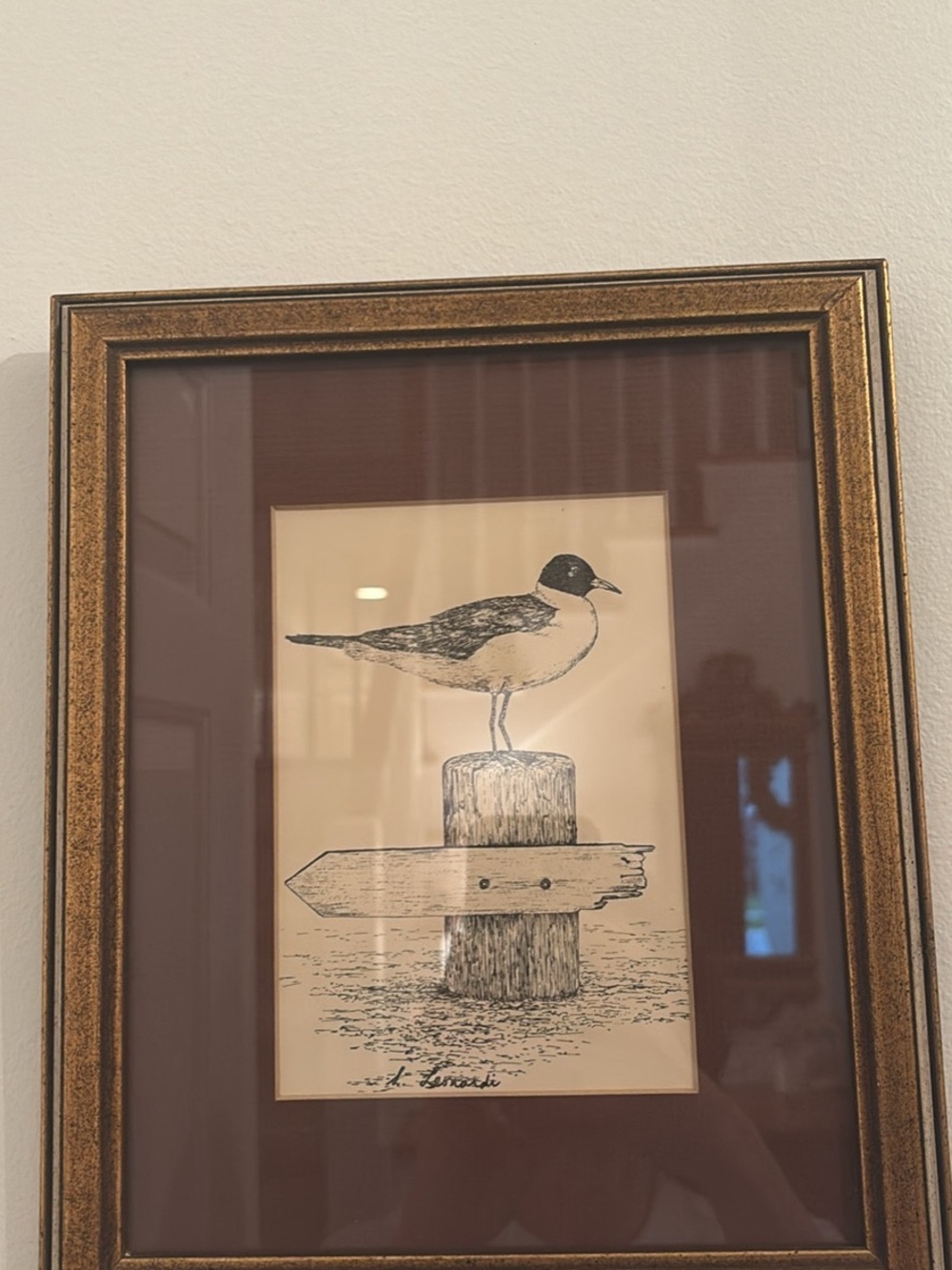 Framed Print/Etching of a Gull Bird on Post